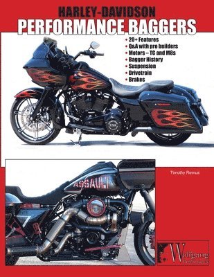 Harley-Davidson Performance Bagger 1