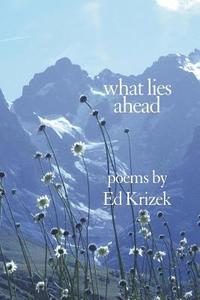 bokomslag What Lies Ahead: A Collection of Poems