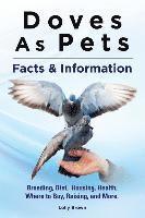 Doves As Pets: Breeding, Diet, Housing, Health, Where to Buy, Raising, and More. Facts & Information 1