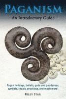 Paganism: Pagan holidays, beliefs, gods and goddesses, symbols, rituals, practices, and much more! An Introductory Guide 1