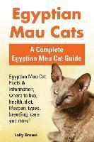 Egyptian Mau Cats: Egyptian Mau Cat Facts & Information, where to buy, health, diet, lifespan, types, breeding, care and more! A Complete 1