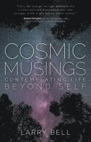 bokomslag Cosmic Musings