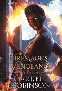 bokomslag The Firemage's Vengeance