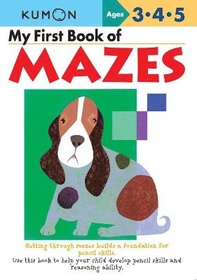 bokomslag My First Book of Mazes (UK Commonwealth Edition)