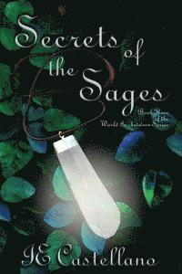 bokomslag Secrets of the Sages