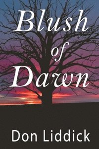 bokomslag Blush of Dawn