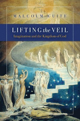 bokomslag Lifting the Veil
