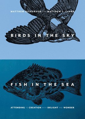 Birds in the Sky, Fish in the Sea: Attending to Creation with Delight and Wonder 1