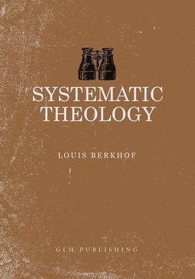 bokomslag Systematic Theology