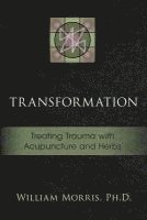 Transformation: Treating Trauma with Acupuncture and Herbs