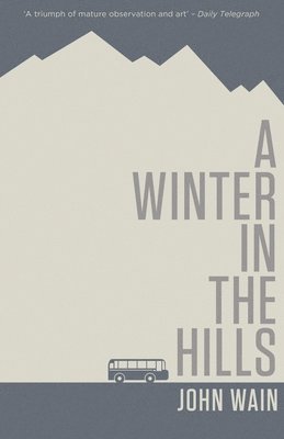 bokomslag A Winter in the Hills
