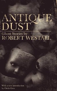 bokomslag Antique Dust
