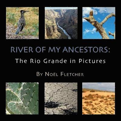 Noel Marie Fletcher, Marie Fletcher, Noel - River of My Ancestors, Häftad