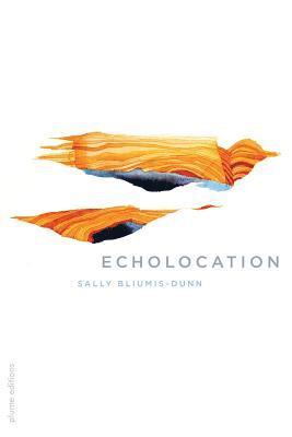 Sally Bliumis-Dunn - Echolocation, Häftad. Tillgänglighet: Lägg i varukorg