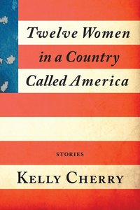 bokomslag Twelve Women in a Country Called America