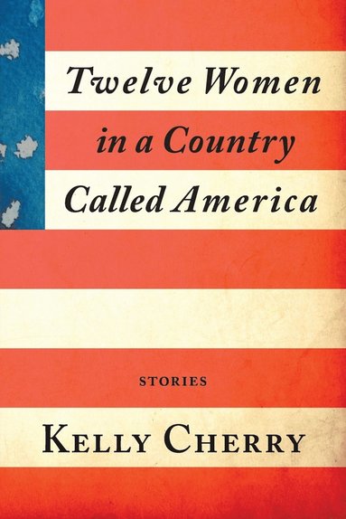 bokomslag Twelve Women in a Country Called America