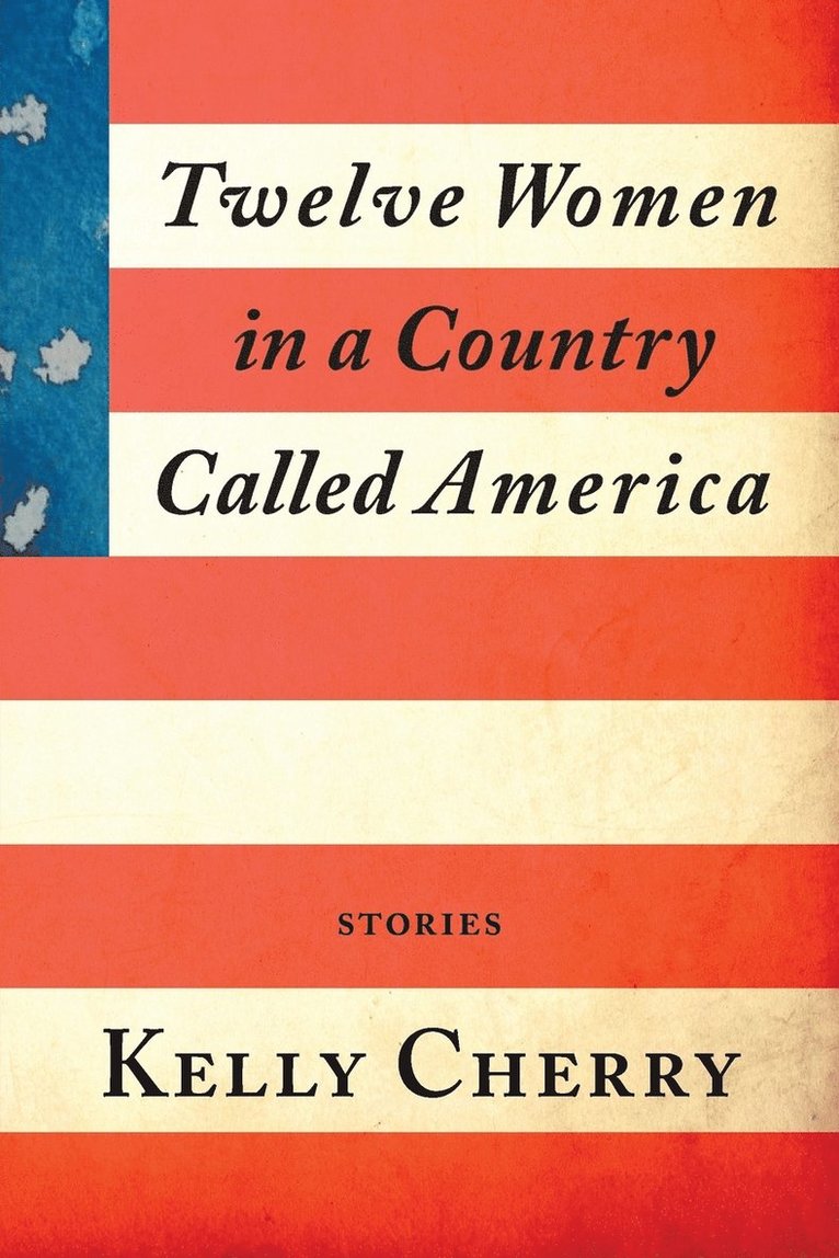 Kelly Cherry - Twelve Women in a Country Called America, Häftad