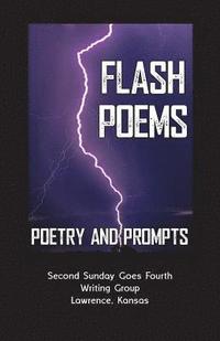bokomslag Flash Poems