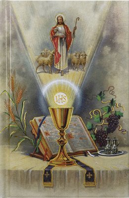 First Mass Book: An Easy Way of Participating at Mass for Boys and Girls 1