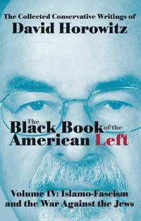 bokomslag The Black Book of the American Left Volume 4