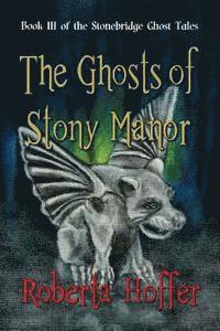bokomslag The Ghosts of Stony Manor