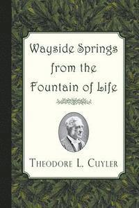 Wayside Springs from the Fountain of Life 1