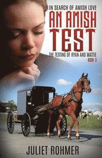 bokomslag An Amish Test: The Testing of Ryan and Mattie