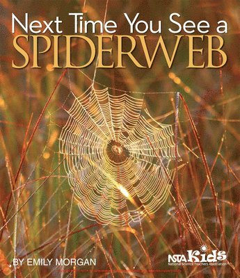 Emily Morgan - Next Time You See a Spiderweb, Inbunden
