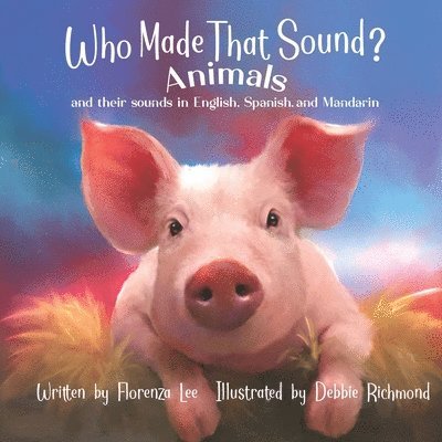 Who Made that Sound?, Häftad