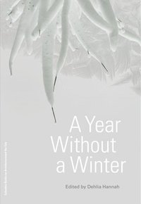 bokomslag Year Without a Winter