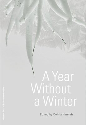 A Year Without a Winter 1