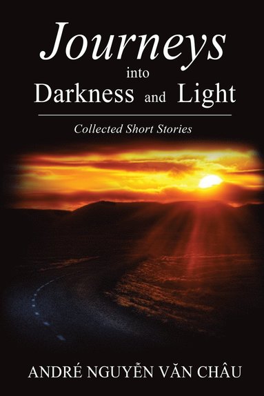 bokomslag Journeys into Darkness and Light