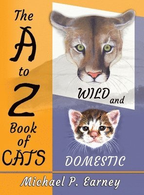 A to Z Book of Cats