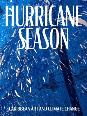 bokomslag Hurricane Season