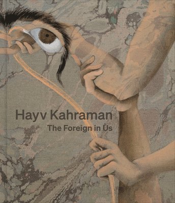 bokomslag Hayv Kahraman: The Foreign in Us