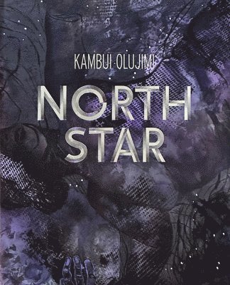 Kambui Olujimi: North Star 1