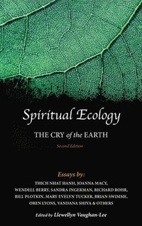bokomslag Spiritual Ecology