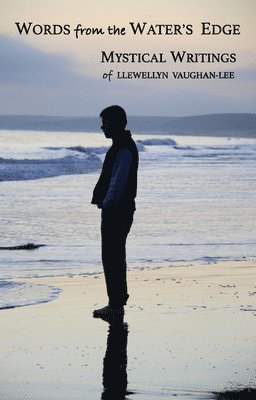 Words from the Water's Edge: Mystical Writings of Llewellyn Vaughan-Lee 1