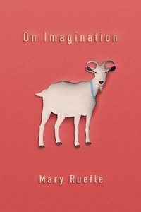bokomslag On Imagination