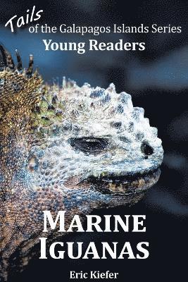 Marine Iguanas - Tails of the Galapagos Islands Series 1