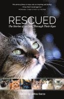 bokomslag Rescued: The Stories of 12 Cats, Through Their Eyes