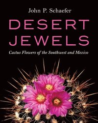 bokomslag Desert Jewels