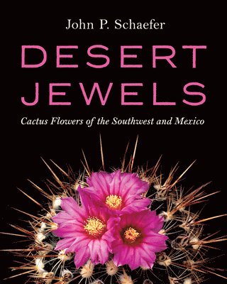 Desert Jewels 1