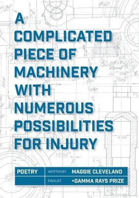 bokomslag A Complicated Piece of Machinery with Numerous Possibilities for Injury