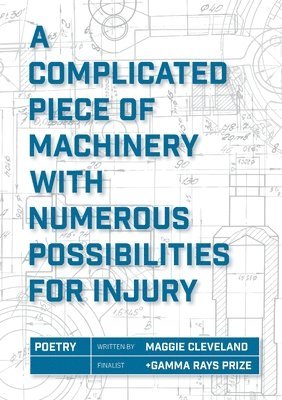 bokomslag Complicated Piece of Machinery With Numerous Possibilities for Injury