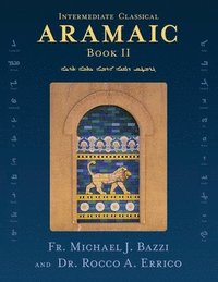 bokomslag Intermediate Classical Aramaic: Book II