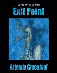 bokomslag Exit Point: Large Print Edition