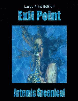 Exit Point: Large Print Edition 1
