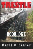 bokomslag Trestle Over No Name Creek - Book One