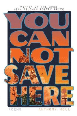 You Cannot Save Here 1